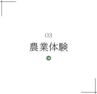 bnrmany03_off