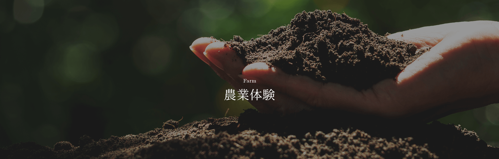 農業体験