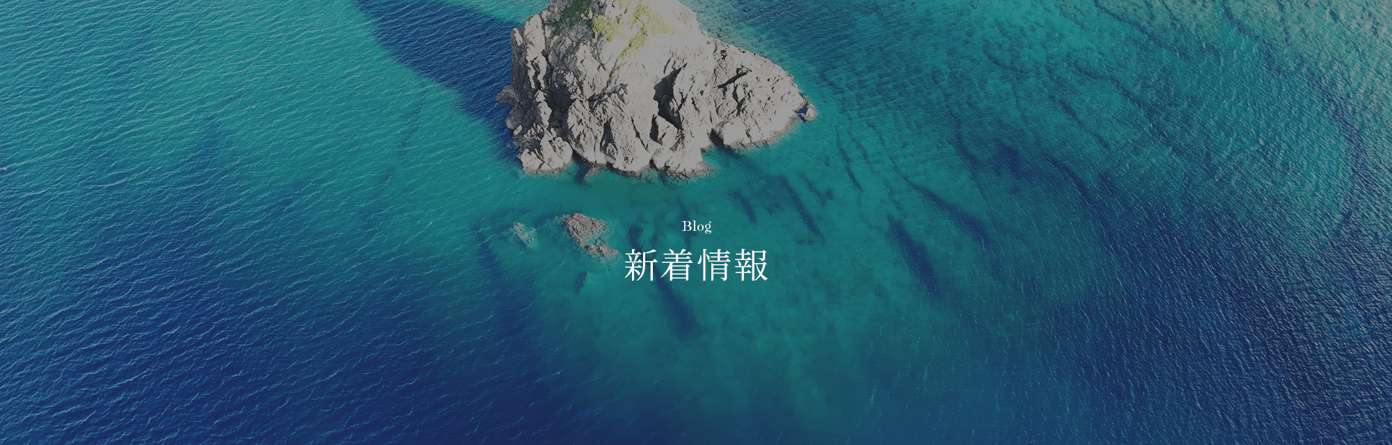 オフィシャルブログ
